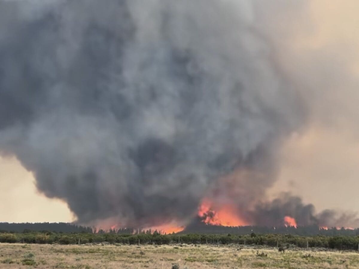 Fire vortex formed over Utah's Deer Creek Fire.